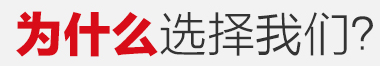 亮麗安